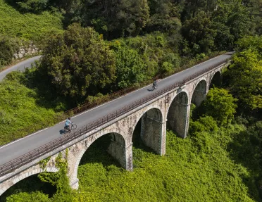 Tall bridge over a forest with two people riding bikes on the bridge