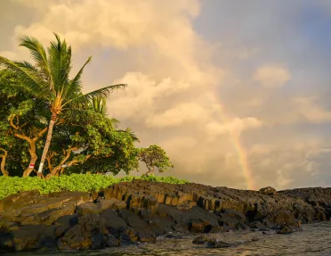 Cliff by the ocean with tall trees and a rainbow in the background