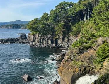 Tree-covered cliff by the edge of the ocean