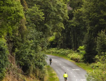 Three people biking on a curvy road, surrounded by tall trees