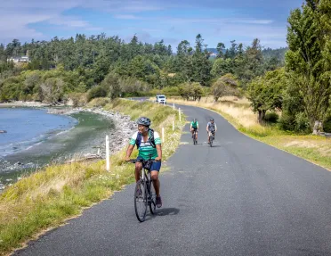 Three people biking on an empty road, with the ocean to the left and large trees in the background