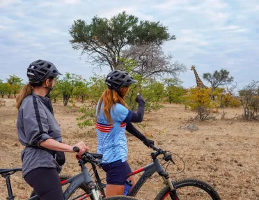 Two backroads cyclists admire a giraffe in the distance on a safari