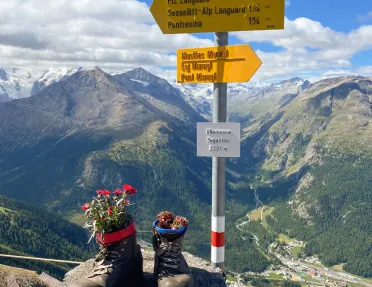 Boots with plants on top of a hill, with mountains in the distance