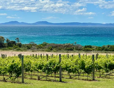 Valley of crops with a view of the ocean in the background