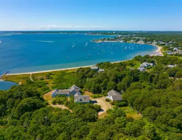 drone shot of green trees and houses on the coast