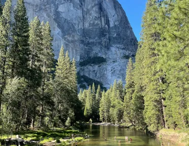 Forest with a lake in front and a large mountain in the background