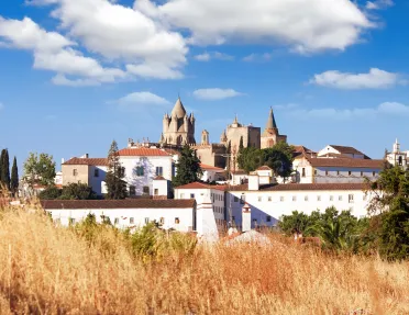 Wide view of white buildings, with a stone, castle-like building in the distance