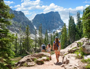 Group of people walking down a gravel trail on a hill, surrounded by tall trees