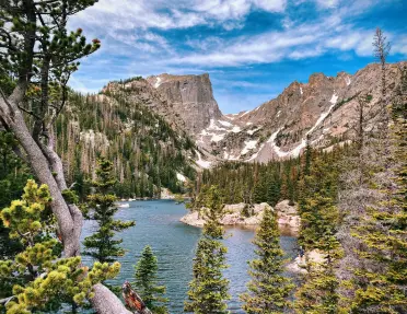 Large lake in a forest surrounded by tall trees