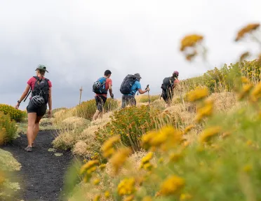 Backroads guests hike through a flowering field