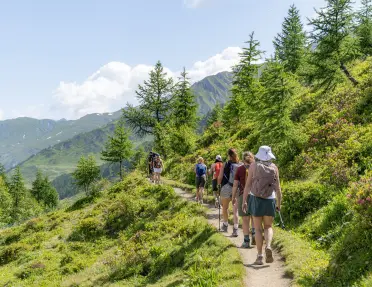 Group of women walking a trail surrounded by tall grass and plants
