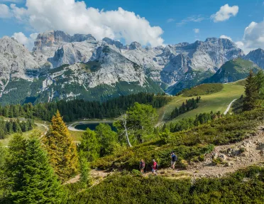 3 hikers descending a trail surrounded by trees and tall mountains