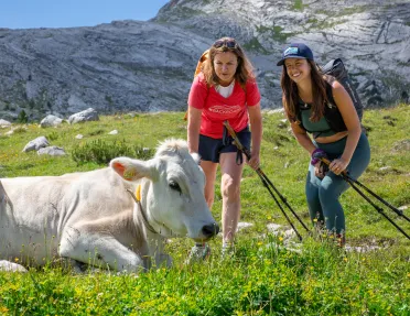 Two women kneeling down and smiling, while looking at a cow laying down