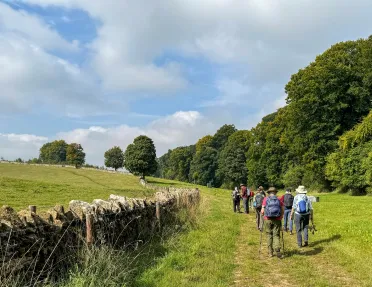 Group of people walking on a grassy trail with a forest to the right