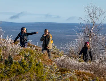 Group of three women ascending a hill, surrounded by plants and dried trees