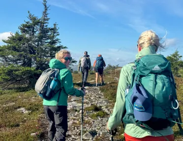 Group of people with walking poles, ascending a rocky trail