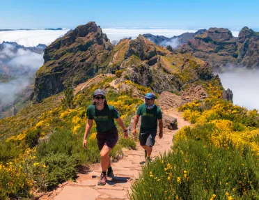 Man and woman ascending a mountain, surrounded by green and yellow plants