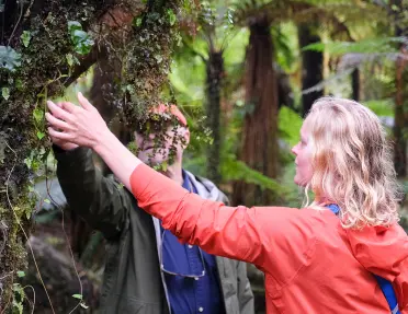 Man and woman investigating a tree's branches