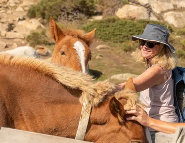 Woman in the middle of a valley, petting two horses