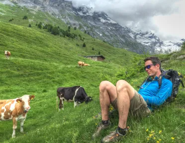 Guest laying in a field with cows