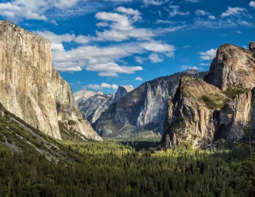 Forest surrounded by tall mountains