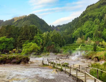 Long wooden bridge leading to a forest full of tall trees