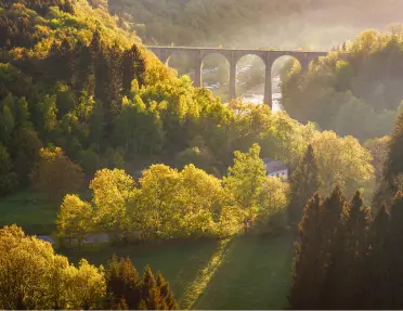 Large valley with tall trees, and a stone bridge in the background