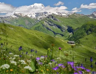 Large valley and hills with colorful flowers