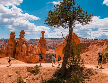 Red Canyon, Utah