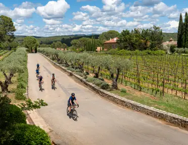 Cyclists ride along a sun-drenched country road lined with olive trees and vineyards, set against a backdrop of rolling hills, cypress trees, and traditional French stone buildings.