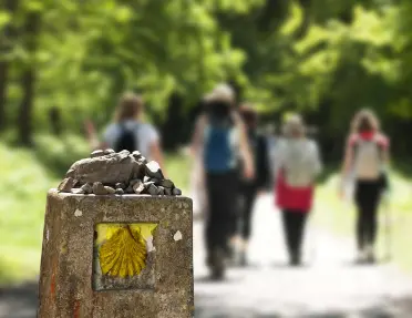 A stone landmark that features the iconic yellow scallop shell symbol used to guide pilgrims along the Camino de Santiago.