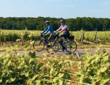 Guests cycling through vineyards on the Bordeaux & Dordogne Bike Tour