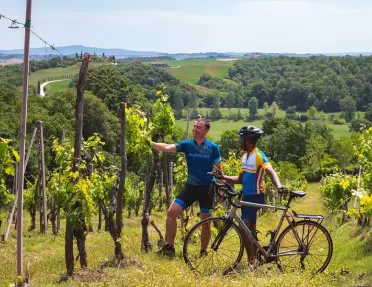 Two men standing in a vineyard, standing next to their bikes