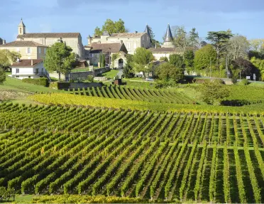 Vineyards and medieval villages on the Bordeaux & Dordogne Bike Tour