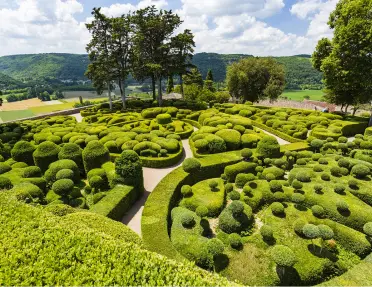 Large, outdoor garden with trimmed bushes and tall trees