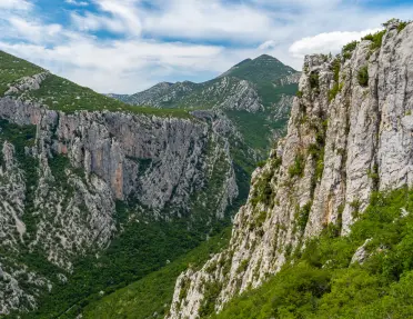 Large, tree-covered mountains in an open valley