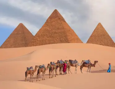 Giza Pyramid complex in Cairo, Egypt with a caravan of seven camels standing in a line across the rolling orange sand dunes.