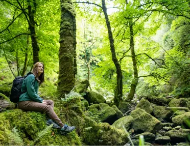 Woman sitting on a moss-covered boulder in a forest