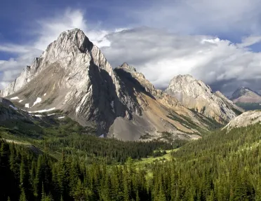 Large mountains with a valley of trees on the ground floor