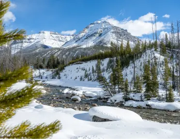 Large snow-capped mountains and trees