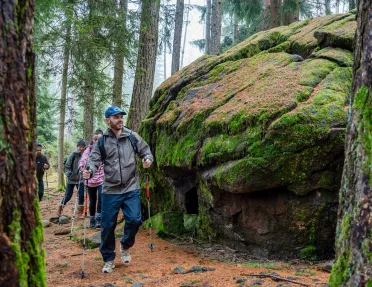 Group of people hiking through a forest with tall trees and large boulder