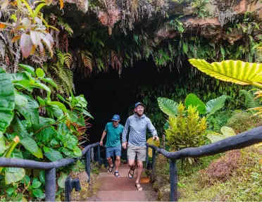 Two men ascending stairs surrounded by dense trees