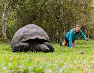 Woman wearing a blue jacket, crawling on the floor next to a large tortoise