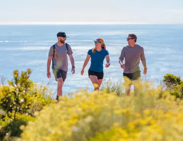Three travelers walk through a coastal meadow filled with yellow wildflowers, overlooking a calm blue sea under bright sunshine.
