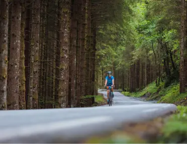 Man biking on an empty road in the middle of a forest
