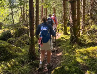 Group of people with hiking poles, walking on a trail in a forest