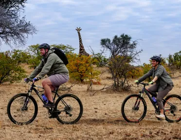 Man and woman biking in a safari, with a large giraffe in the background