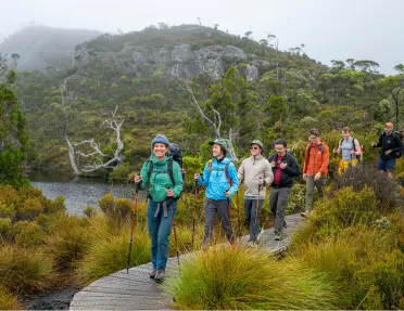 Group of people hiking on a wooden path in a forest