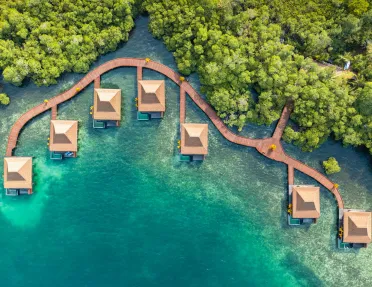 Sky view of hotel cottages by the ocean and the jungle in the background
