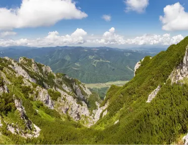 Large valley with a forest and tall mountains to the left and right